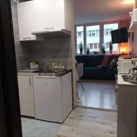 Apartament 1 Pokojowy Z Aneksem Kuchennym I Lazienka Apartment